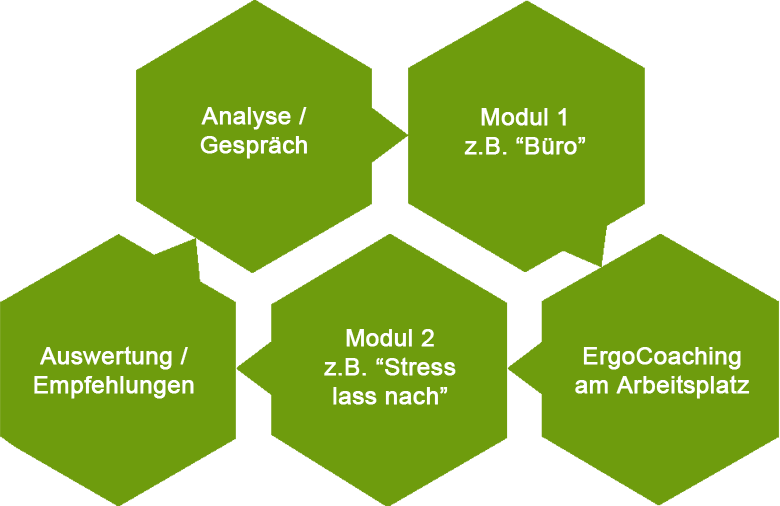 Grafik mit 5 Schritten, die den Ablauf des ErgoCoaching erläutern